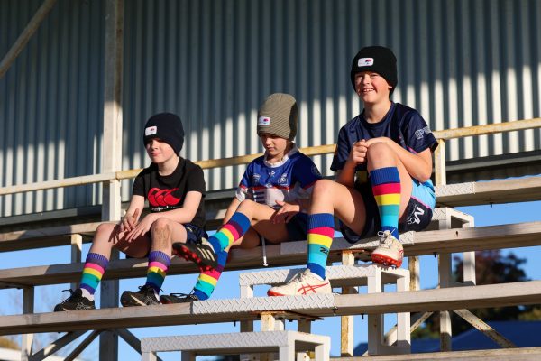 Football Socks - Image 4