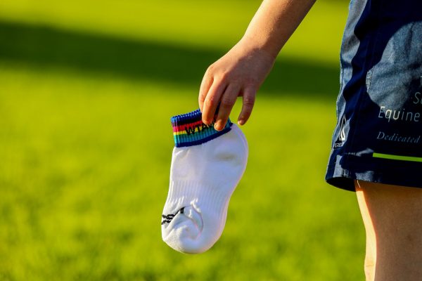 Ankle Socks