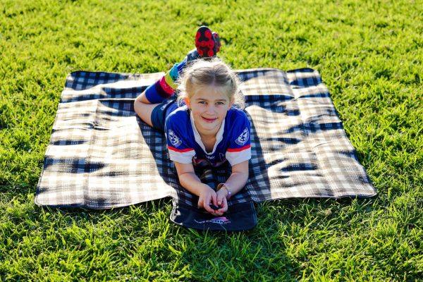 Picnic Rug - Image 3