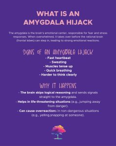 Amygdala Hijack
