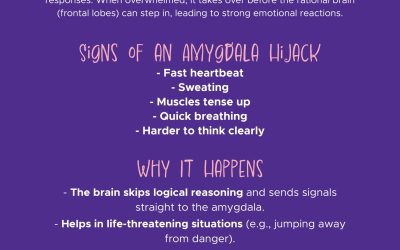 Amygdala Hijack