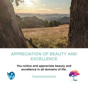 Character Strength – Appreciation of Beauty and Excellence