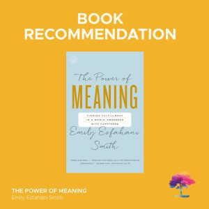 📚 Book Recommendation