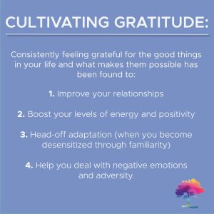 Cultivating Gratitude