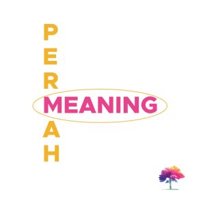 What is ‘Meaning’