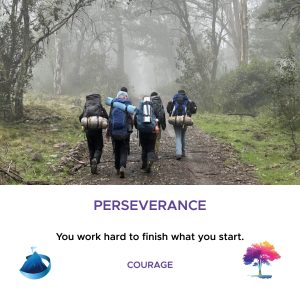 Perseverance