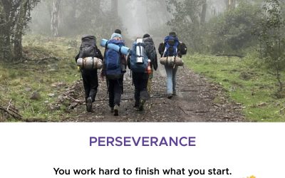 Perseverance