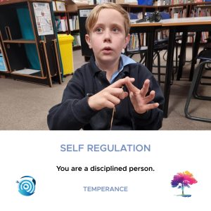 Self-Regulation