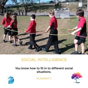 Social Intelligence