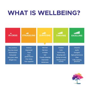 What is Wellbeing?