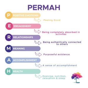 What is PERMAH?