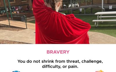 Character Strength – Bravery