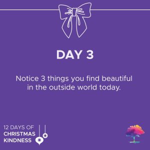 Day 3 Christmas Kindness